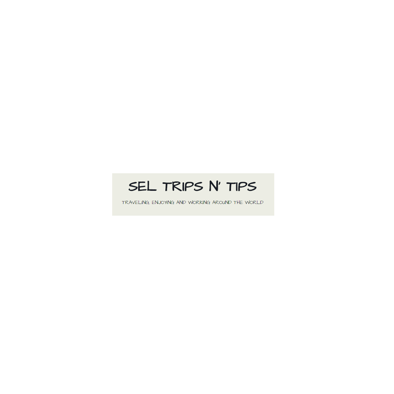 logo-sel-trips-n-tips